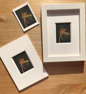 Balance Miniture ACEO Print