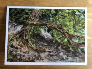 Whispers of Nature Card