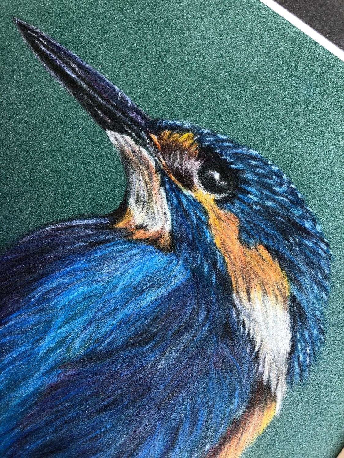 Kingfisher - Image 2