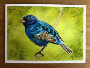 Male Indigo Bunting Card