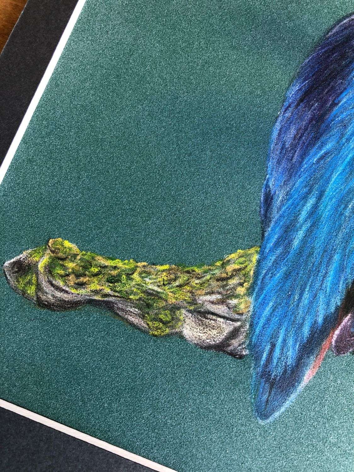 Kingfisher - Image 6