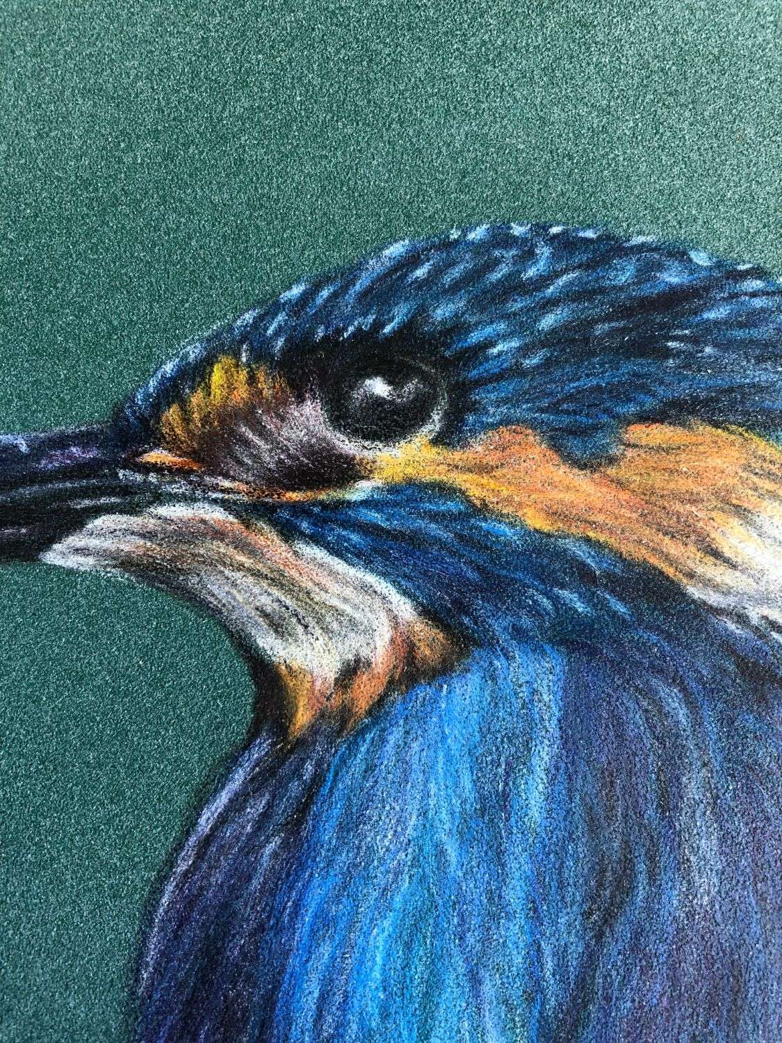 Kingfisher - Image 5