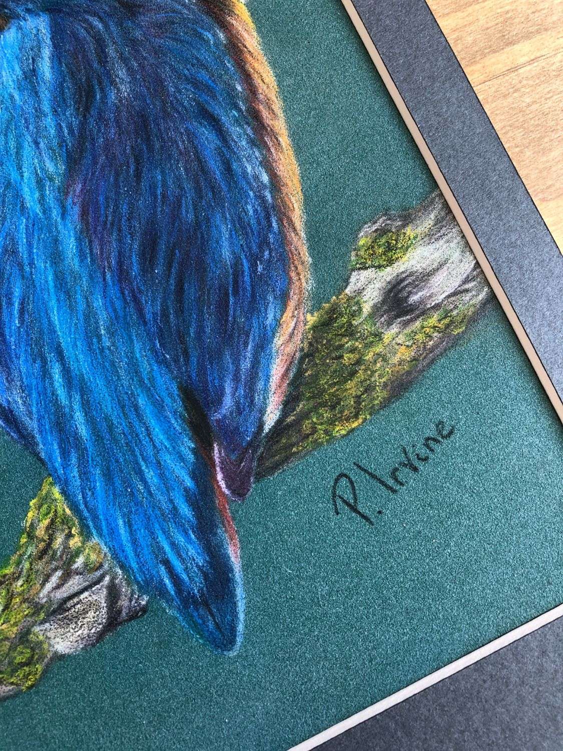 Kingfisher - Image 4