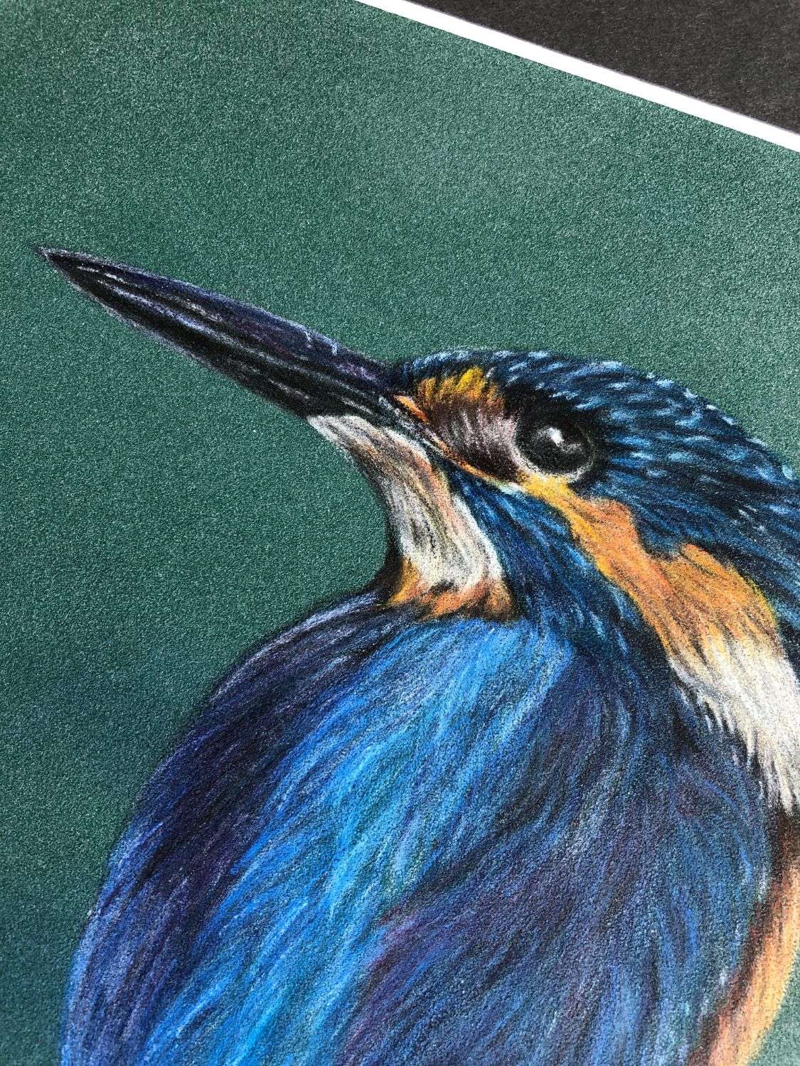 Kingfisher - Image 3